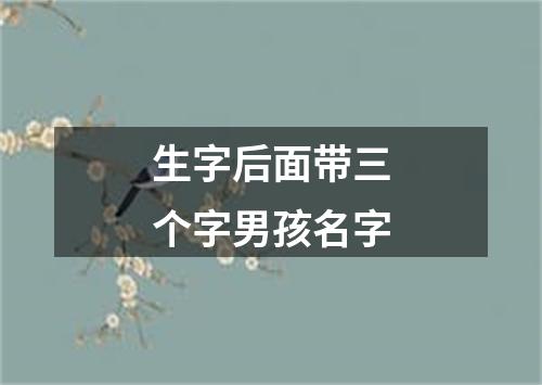 生字后面带三个字男孩名字