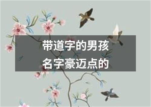 带道字的男孩名字豪迈点的