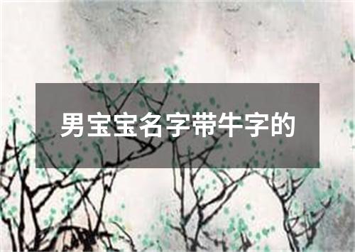 男宝宝名字带牛字的