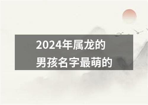 2024年属龙的男孩名字最萌的