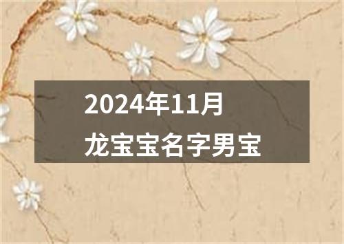 2024年11月龙宝宝名字男宝