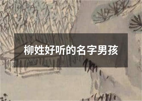 柳姓好听的名字男孩