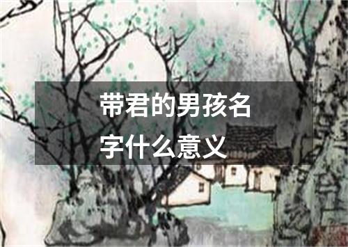 带君的男孩名字什么意义