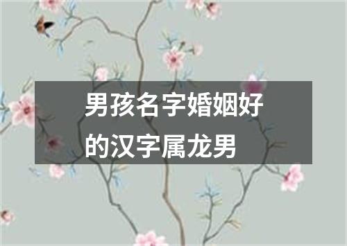 男孩名字婚姻好的汉字属龙男