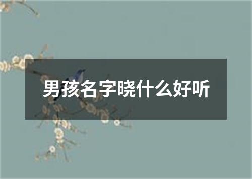 男孩名字晓什么好听