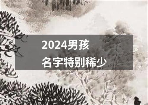 2024男孩名字特别稀少