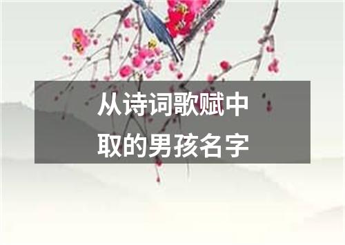 从诗词歌赋中取的男孩名字