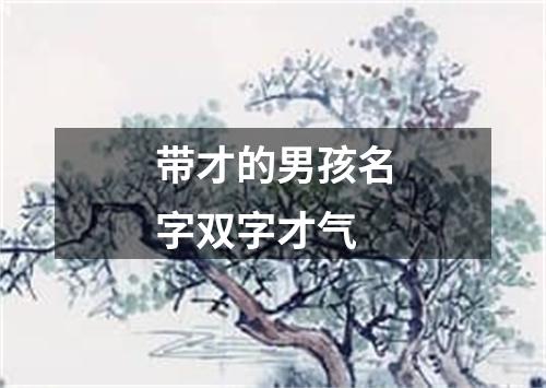 带才的男孩名字双字才气