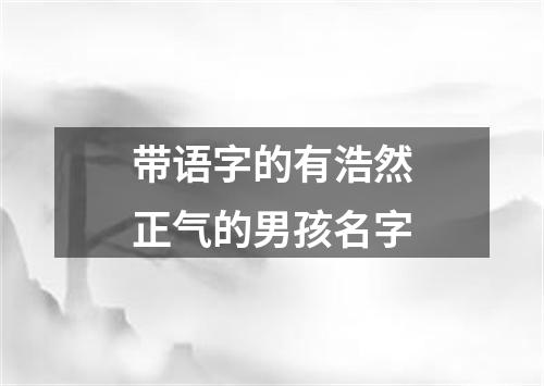 带语字的有浩然正气的男孩名字