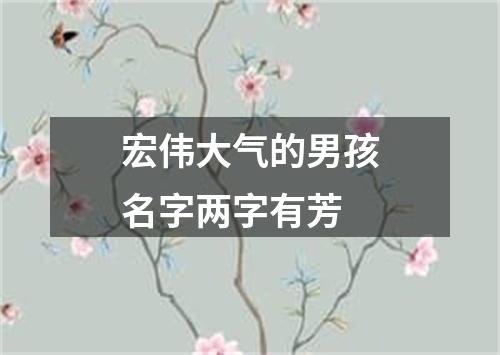 宏伟大气的男孩名字两字有芳