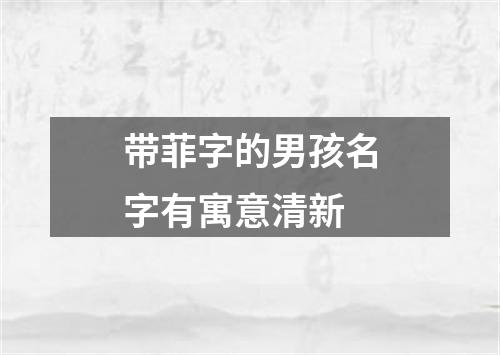 带菲字的男孩名字有寓意清新