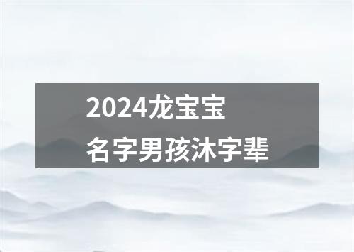 2024龙宝宝名字男孩沐字辈