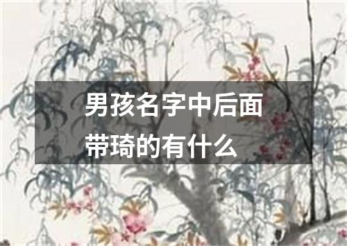 男孩名字中后面带琦的有什么