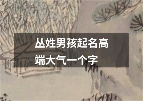 丛姓男孩起名高端大气一个字