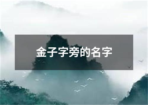 金子字旁的名字