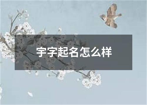 宇字起名怎么样