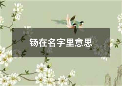 钖在名字里意思