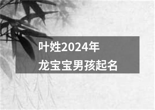 叶姓2024年龙宝宝男孩起名