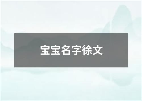 宝宝名字徐文