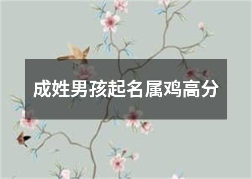 成姓男孩起名属鸡高分