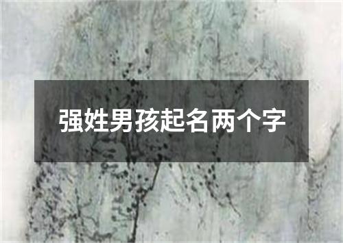 强姓男孩起名两个字