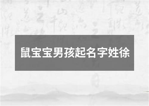 鼠宝宝男孩起名字姓徐