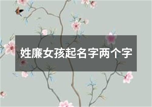 姓廉女孩起名字两个字