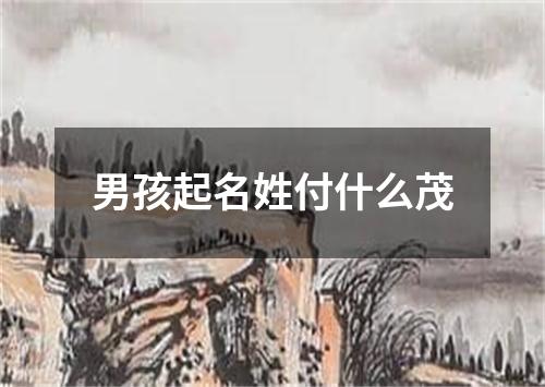 男孩起名姓付什么茂