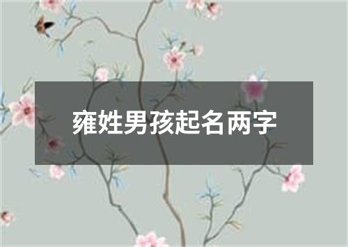 雍姓男孩起名两字