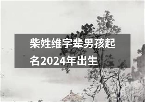 柴姓维字辈男孩起名2024年出生