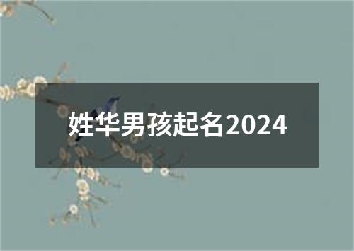 姓华男孩起名2024