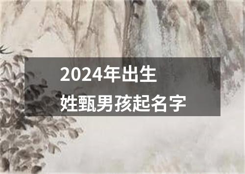 2024年出生姓甄男孩起名字