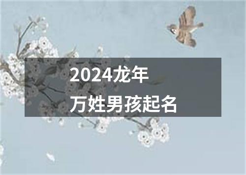 2024龙年万姓男孩起名