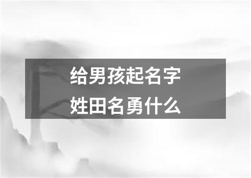 给男孩起名字姓田名勇什么