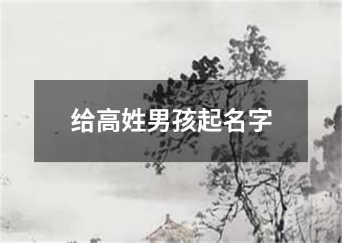 给高姓男孩起名字