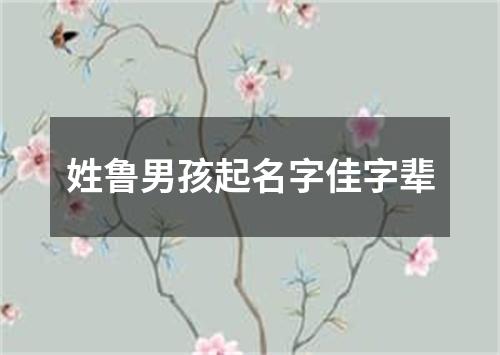 姓鲁男孩起名字佳字辈