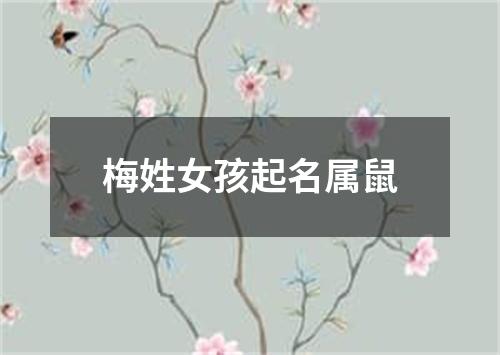 梅姓女孩起名属鼠