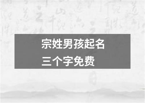 宗姓男孩起名三个字免费