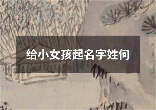 给小女孩起名字姓何