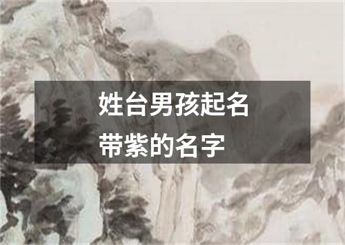 姓台男孩起名带紫的名字