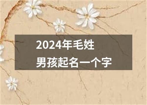 2024年毛姓男孩起名一个字