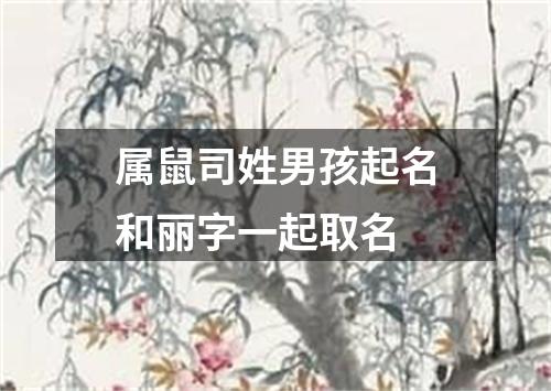 属鼠司姓男孩起名和丽字一起取名