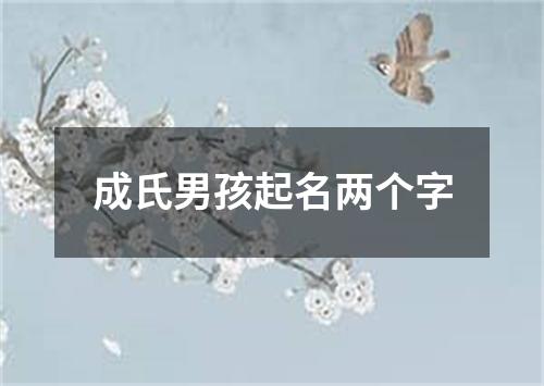 成氏男孩起名两个字