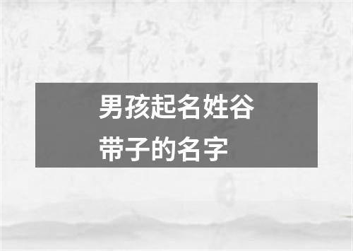 男孩起名姓谷带子的名字