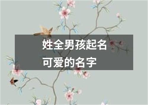 姓全男孩起名可爱的名字