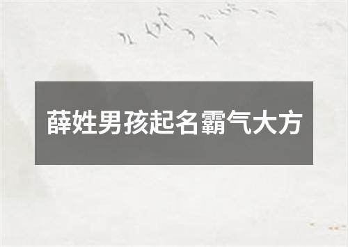 薛姓男孩起名霸气大方