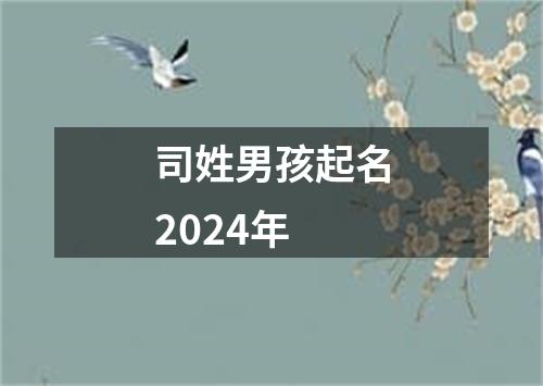 司姓男孩起名2024年