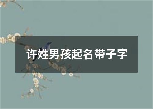 许姓男孩起名带子字