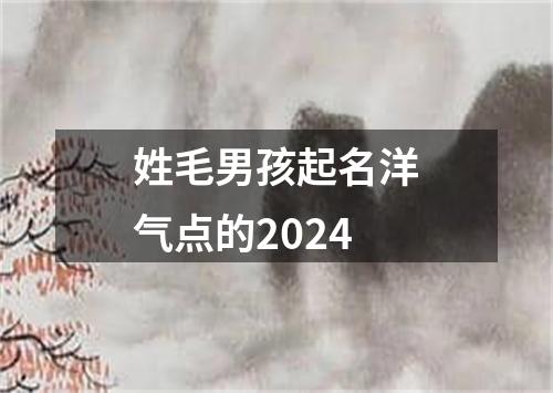 姓毛男孩起名洋气点的2024