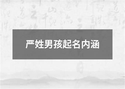 严姓男孩起名内涵